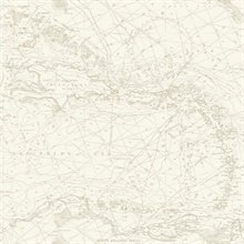 Chart Maps Taupe Nautical Chart Map Wallpaper