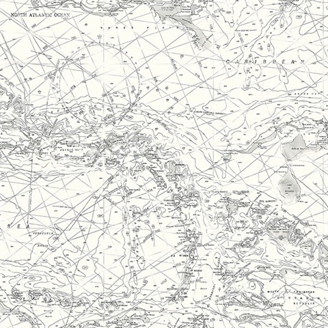 Charts Black & White Map Wallpaper