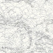 Charts Black &amp; White Map Wallpaper