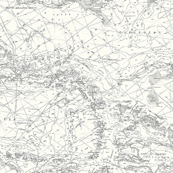 3120-16179 | Charts Black & White Map Wallpaper