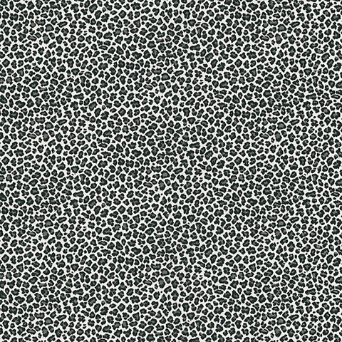 Cheetah Black Animal Print