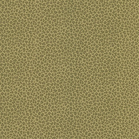 Cheetah Brown Animal Print