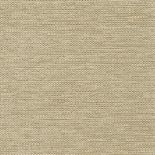 Chenille Ermine Textile Wallcovering