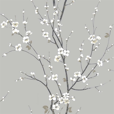 Cherry Branches Ash Wallpaper