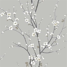 Cherry Branches Ash Wallpaper