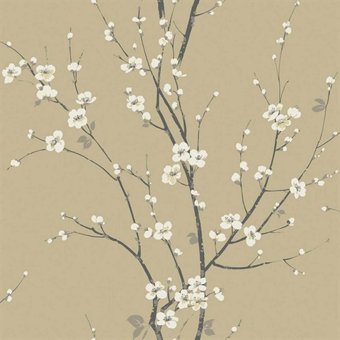 Cherry Branches Hazel Wallpaper