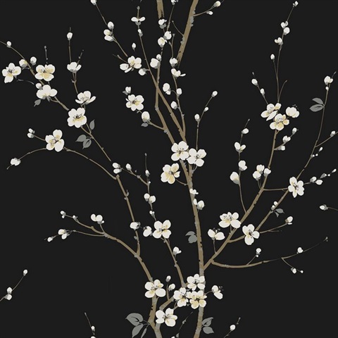 Cherry Branches Onyx Wallpaper