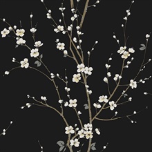 Cherry Branches Onyx Wallpaper