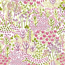 Chilton Pink Floral Wildflowers Wallpaper