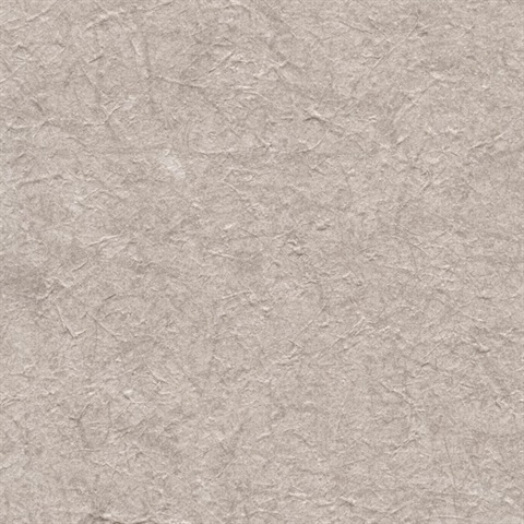 Chimayo Canyon Shadow