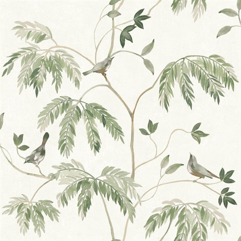 Cillian Dark Green Botanical Bird Trail Wallpaper