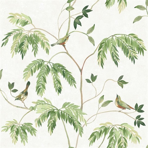 Cillian Green Botanical Bird Trail Wallpaper