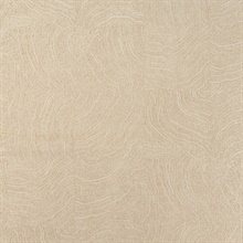Circumstance Sand Drift