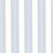 Clancy Blue Shiny Multi Stripe