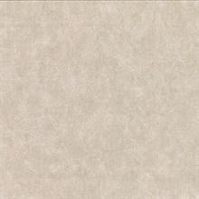 Clegane Bone Plaster Texture