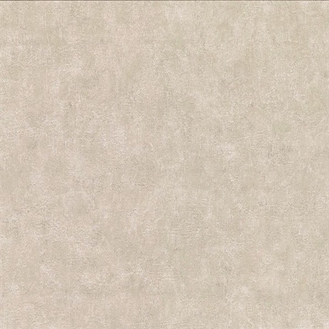 Clegane Bone Plaster Texture