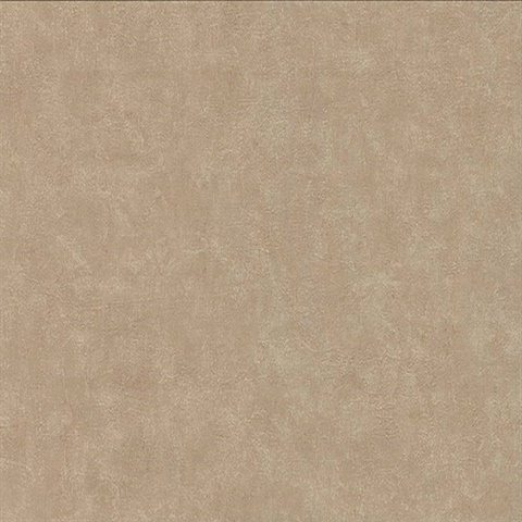 Clegane Light Brown Plaster Texture
