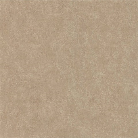 Clegane Light Brown Plaster Texture