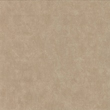 Clegane Light Brown Plaster Texture