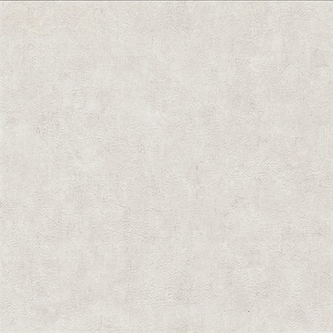 Clegane Light Grey Plaster Texture