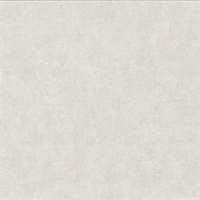 Clegane Light Grey Plaster Texture