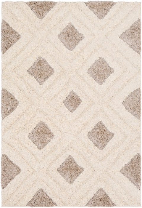 CLG2308 Cut & Loop Shag - Area Rug