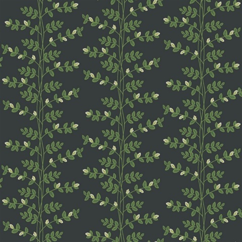 Climbing Vine Stripe Black Wallpaper