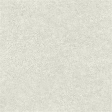 Clyde Taupe Quartz Stone Wallpaper