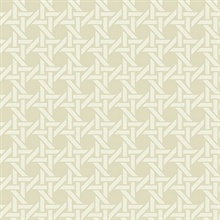Coastal Wicker