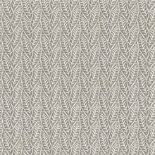 Coleus Charcoal Leaves Wallpaper