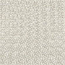Coleus Grey Leaves Wallpaper