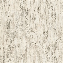 Colm Beige Birch Wallpaper