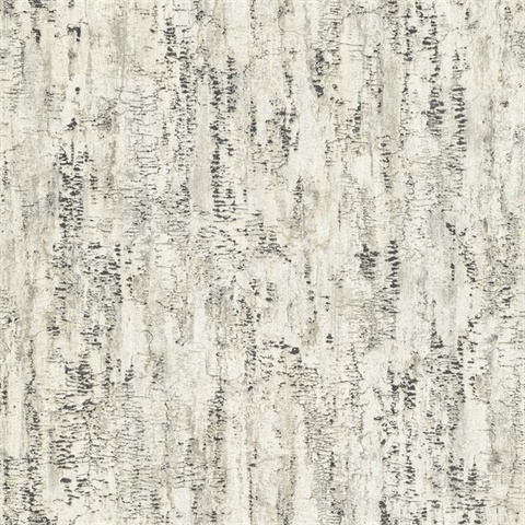 Colm Charcoal Birch Wallpaper