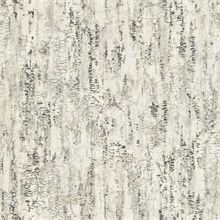 Colm Charcoal Birch Wallpaper