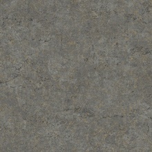 Colt Charcoal Metallic Textured Cement Wallpaper