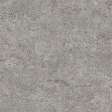 Colt Grey Metallic Textured Cement Wallpaper