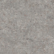 Colt Grey Metallic Textured Cement Wallpaper