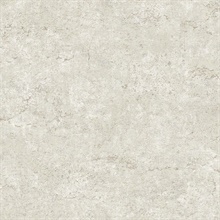Colt Stone Metallic Textured Cement Wallpaper