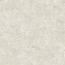 Colt Stone Metallic Textured Cement Wallpaper