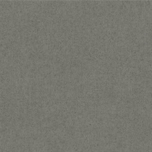 Colter Grey Texture Wallpaper