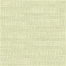 Green Wallpaper | Green Wallpaper For Walls