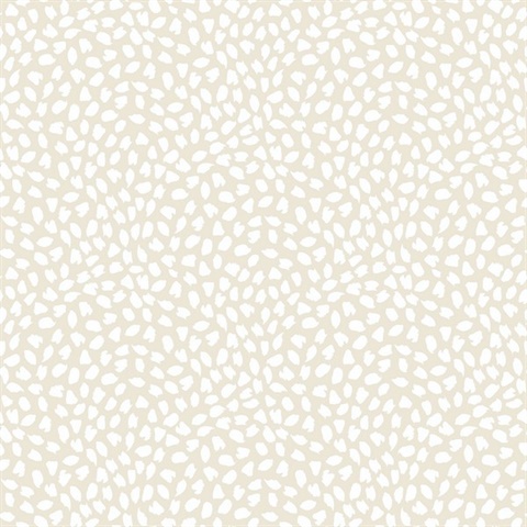 Confetti Contemporary