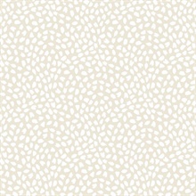 Confetti Contemporary