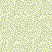 Confetti Contemporary