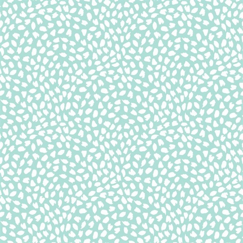 Confetti Contemporary