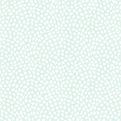 Confetti Contemporary