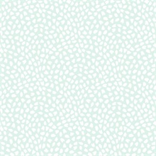 Confetti Contemporary