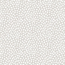 Confetti Contemporary