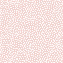 Confetti Contemporary
