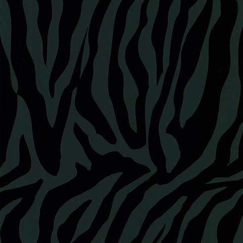 Congo Black Zebra